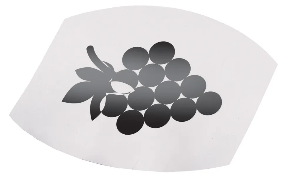 westmark-safety-44482280-becs-verseur-vin-sans-goutte-lot-de-3-disques-pet-argen image 1