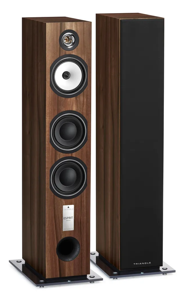 triangle-antal-ez-enceinte-colonne-hi-fi-3-voies-120-w-92-db-w-m-tweeter-pavillo image 1