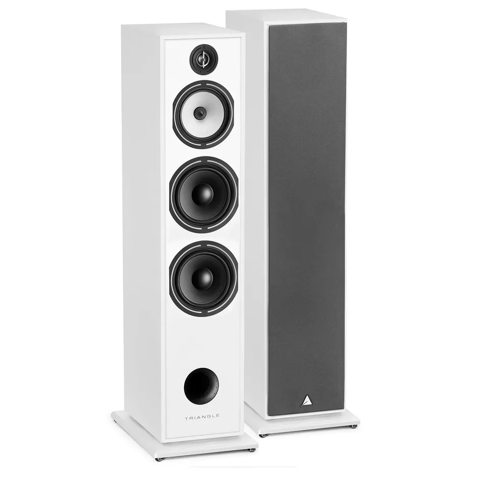 triangle-borea-br10-enceinte-colonne-hi-fi-3-voies-200-w-92-db-w-m-haut-parleurs image 1
