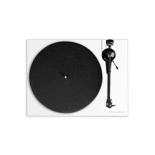 triangle-lunar-3-platine-vinyle-blanc-entra-nement-par-courroie-bras-en-carbone- image 7