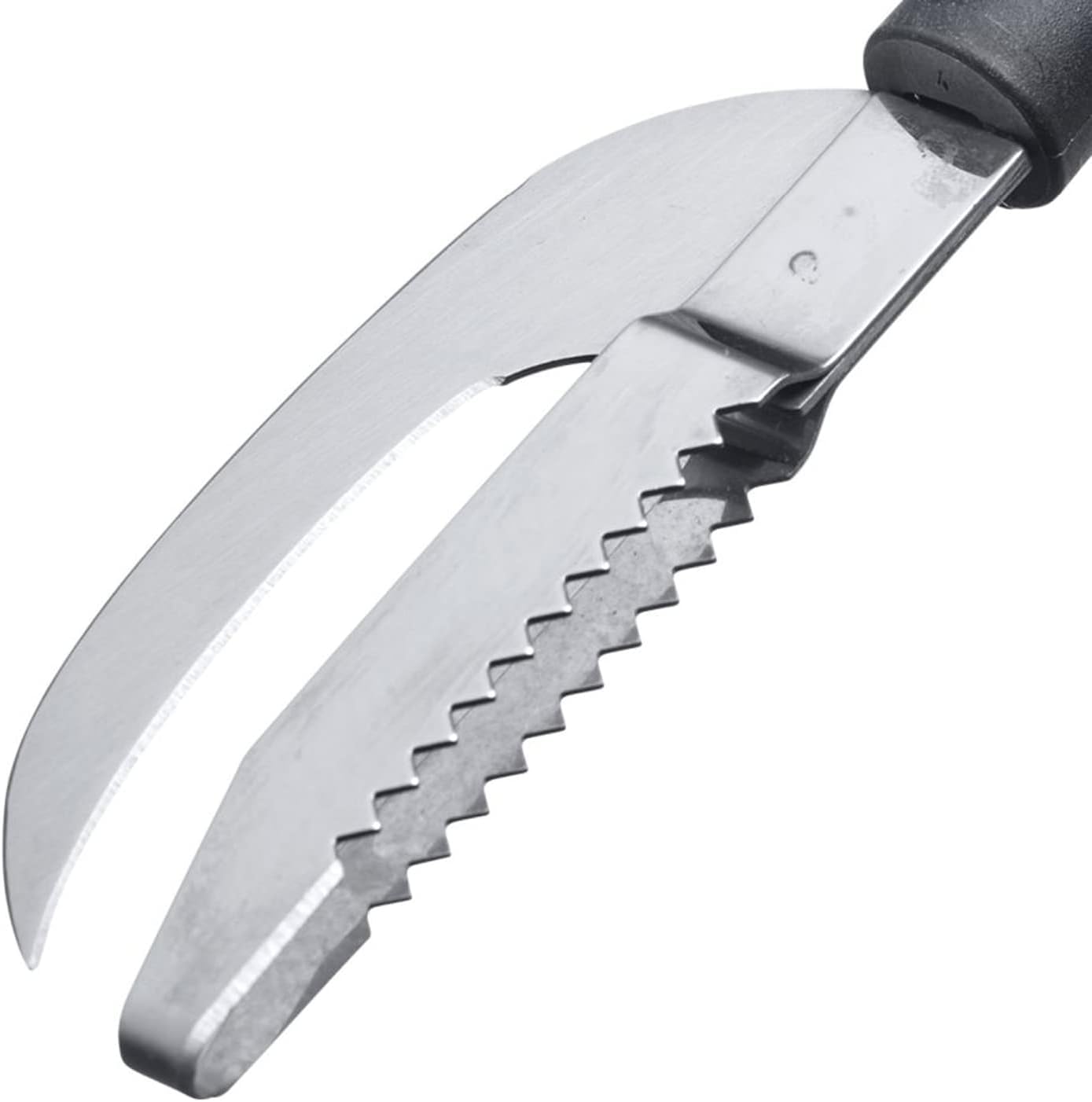 westmark-outil-poisson-2en1-gallant-couteau-et-cailleur-en-un-plastique-acier-in image 4