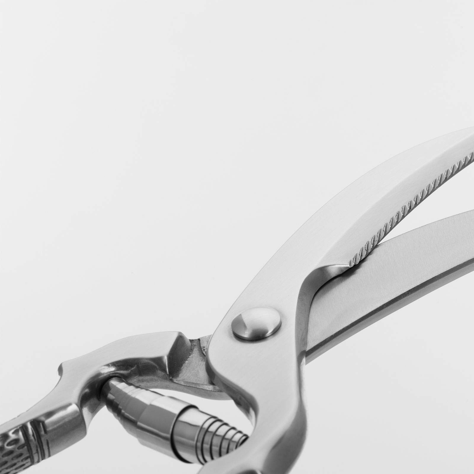westmark-13712260-ciseaux-volaille-classic-m-canisme-ressort-lames-inox-dentel-e image 3