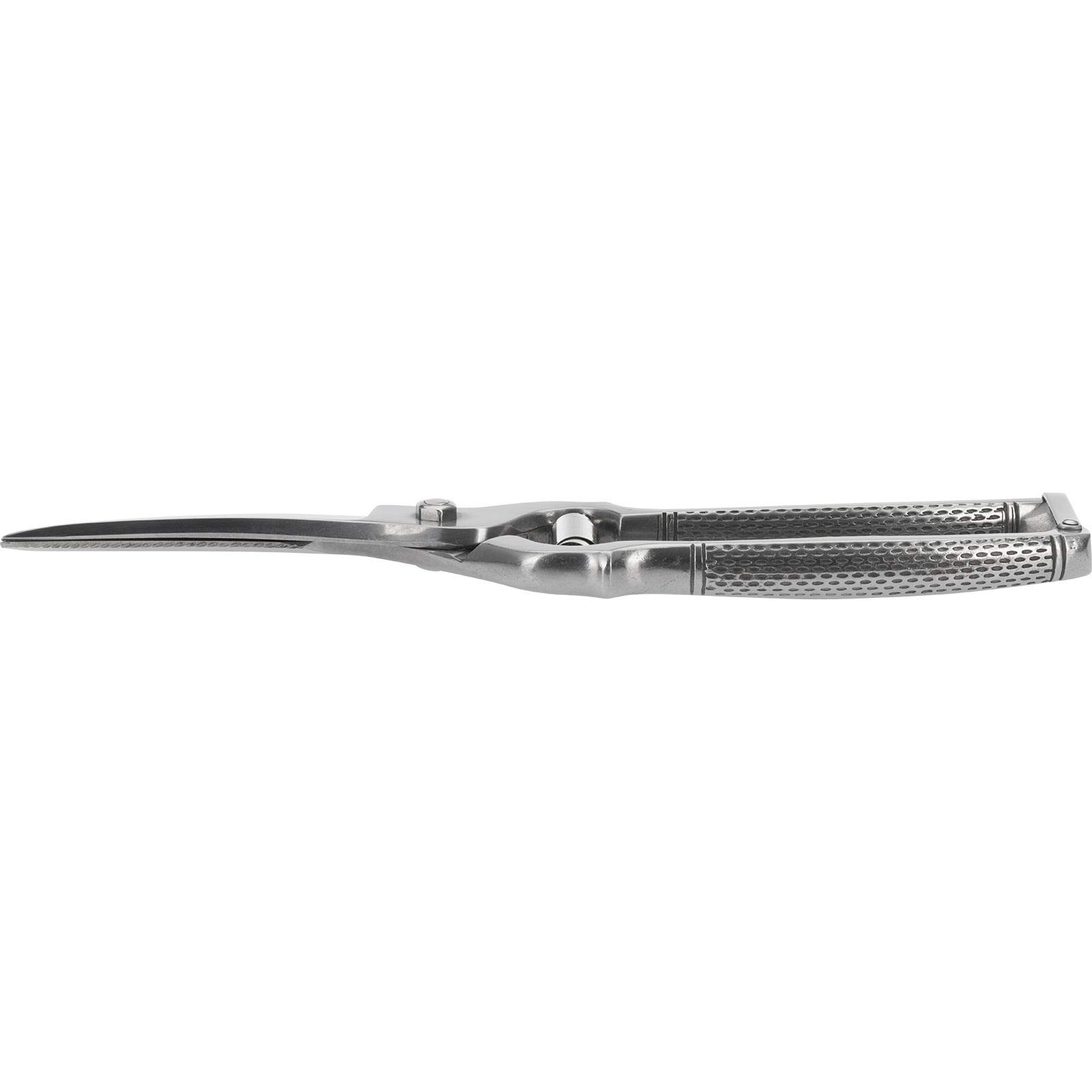 westmark-13712260-ciseaux-volaille-classic-m-canisme-ressort-lames-inox-dentel-e image 2