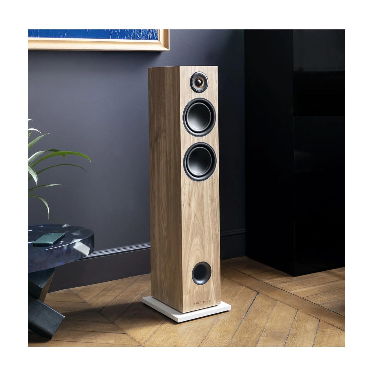 triangle-ln05a-enceintes-colonne-actives-bluetooth-2-x-80w-audio-hd-avec-entr-e- image 2