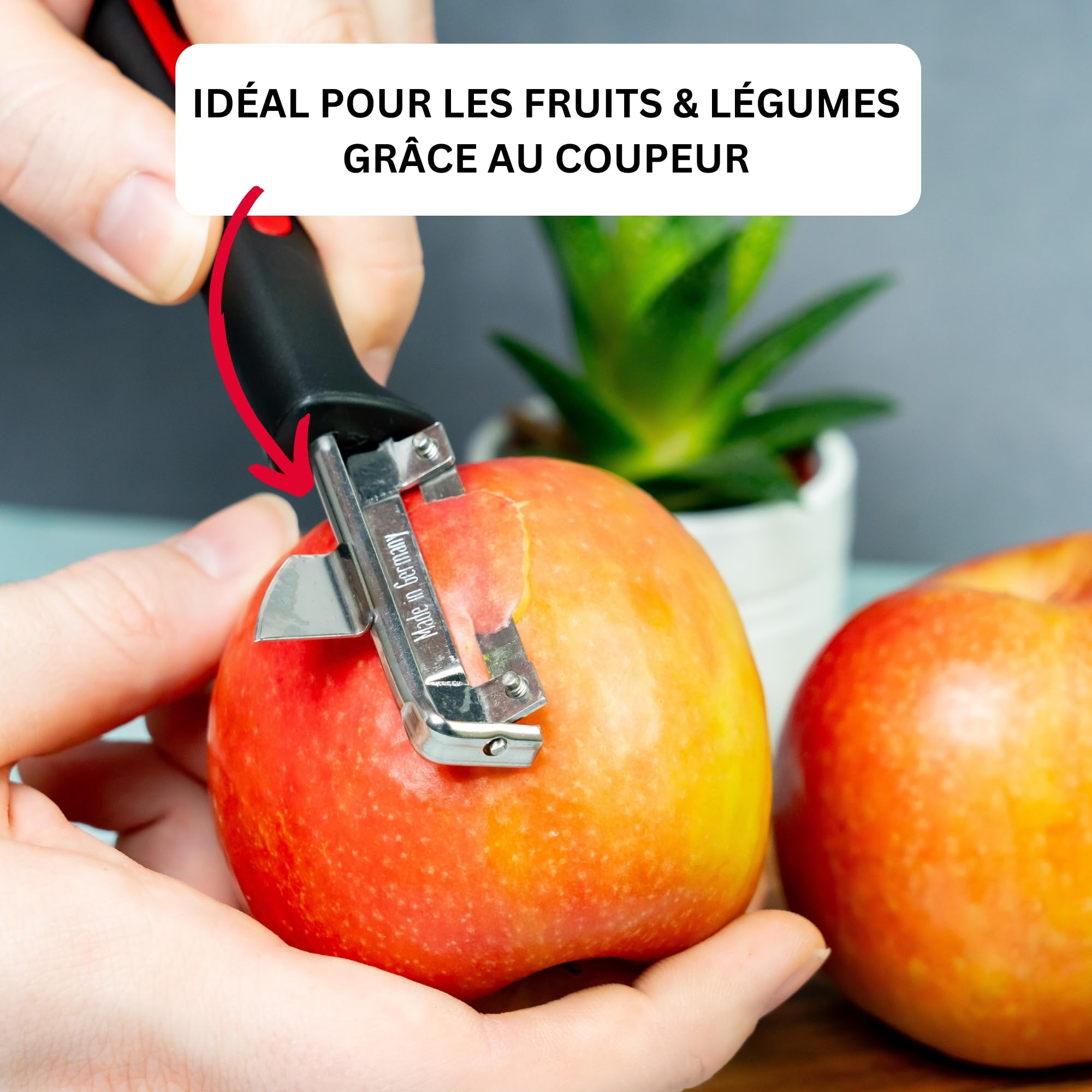 westmark-gallant-plucheur-conome-universel-avec-lame-viss-e-rechangeable-en-acie image 4