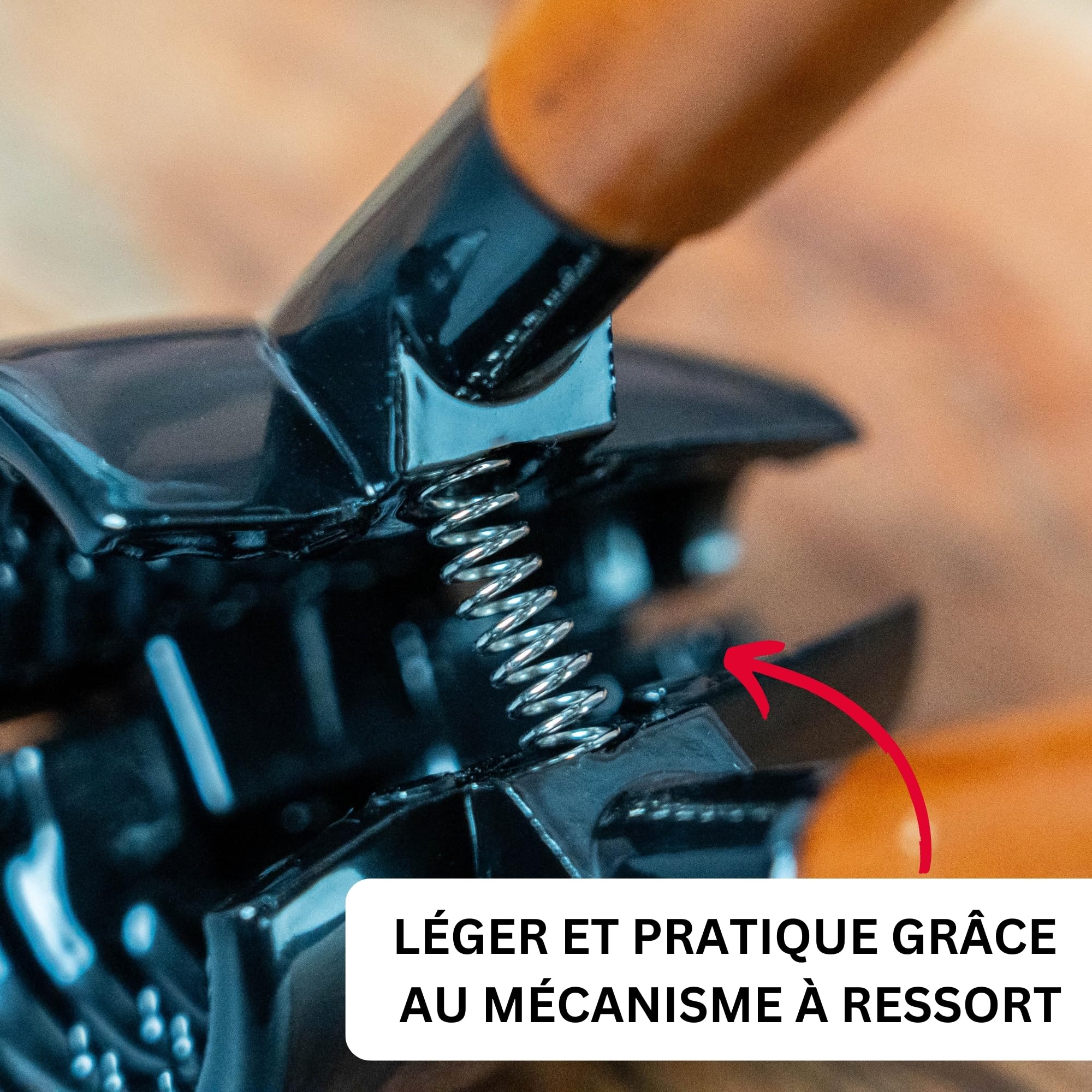 westmark-sieger-nussprofi-deluxe-3326220-casse-noix-et-pince-champagne-aluminium image 4