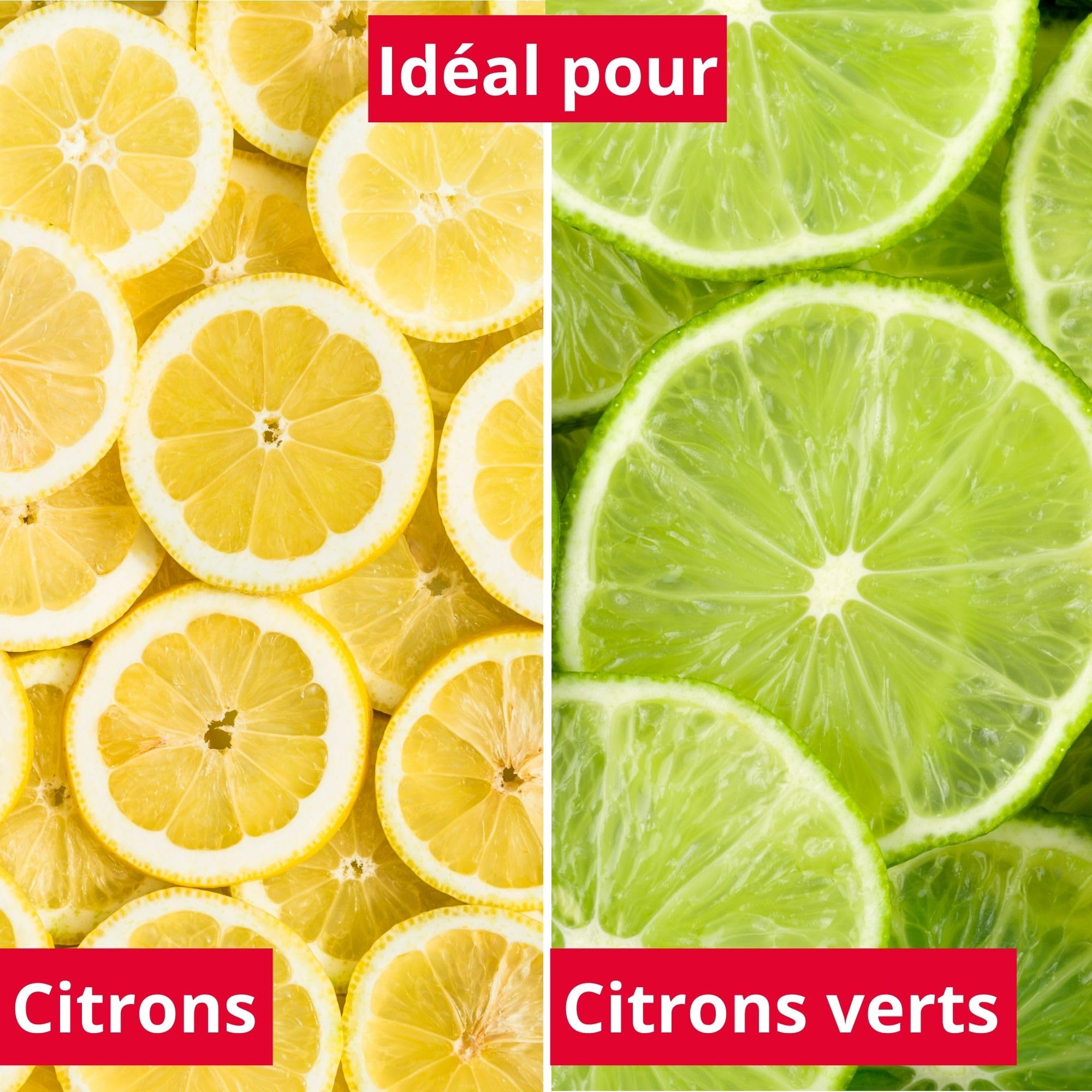 westmark-fresh-and-fruity-petit-presse-agrumes-avec-r-cipient-50-ml-et-couvercle image 4